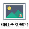DKJ-2100調(diào)節(jié)型電動(dòng)閥門執(zhí)行裝置